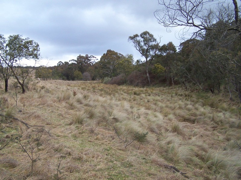Lot 5 Jerrong Road, Taralga NSW 2580