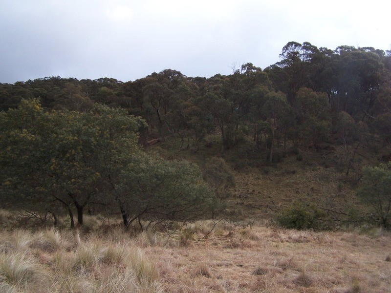 Lot 5 Jerrong Road, Taralga NSW 2580
