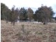 Lot 2 Jerrong Road, Taralga NSW 2580