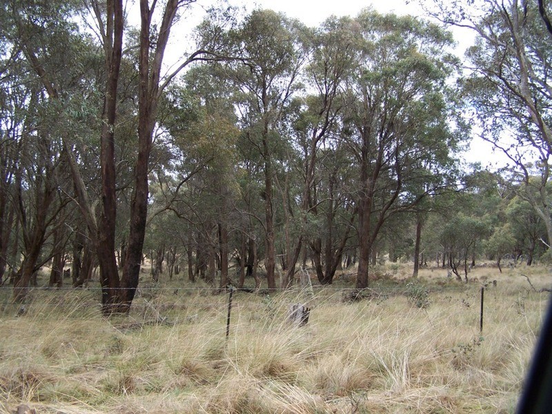 Lot 2 Jerrong Road, Taralga NSW 2580