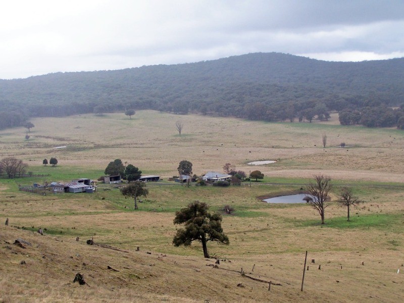 213 Glenfield Road, Binda NSW 2583