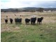 213 Glenfield Road, Binda NSW 2583