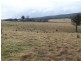 213 Glenfield Road, Binda NSW 2583
