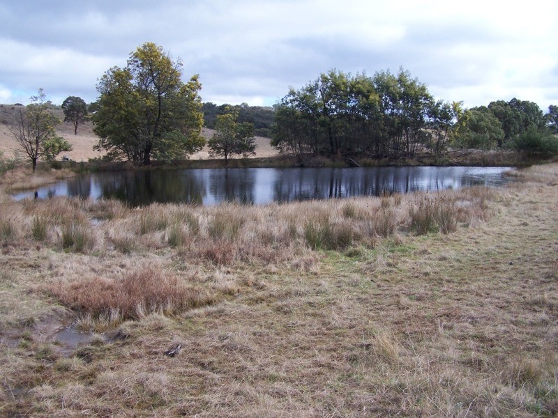 1252 Kangaloolah Road, Binda NSW 2583