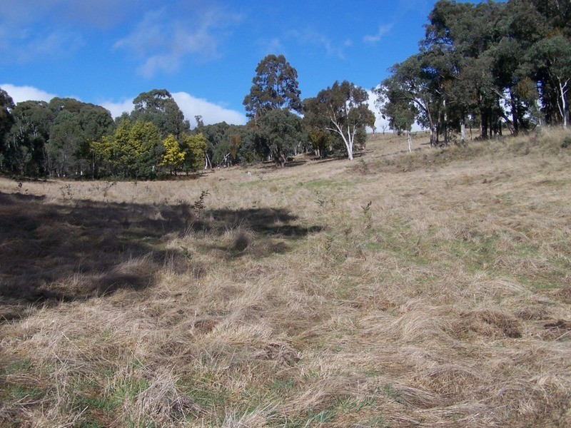 1252 Kangaloolah Road, Binda NSW 2583