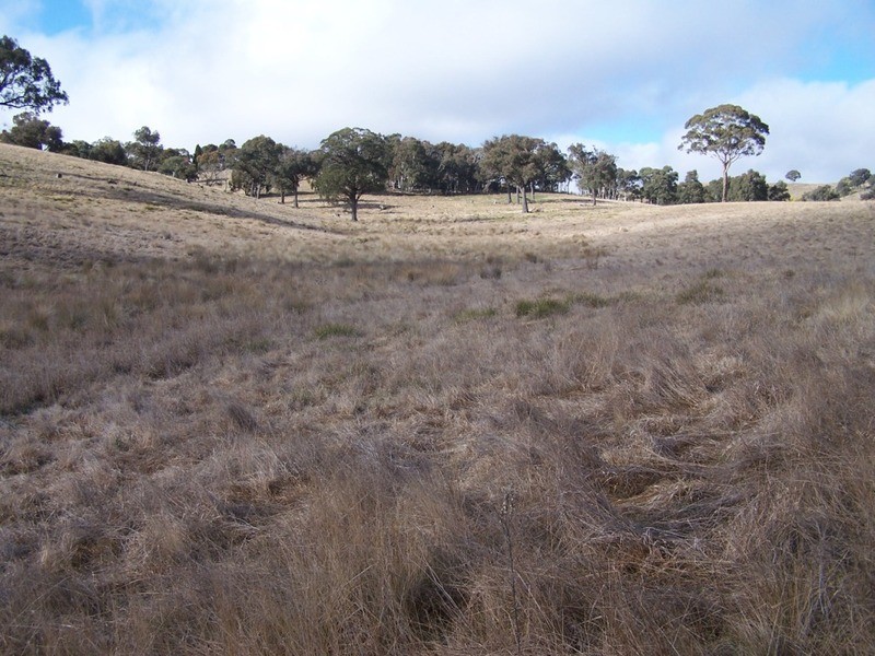 1252 Kangaloolah Road, Binda NSW 2583