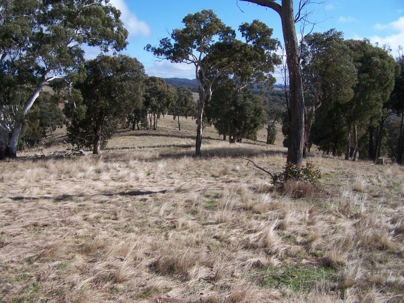 1252 Kangaloolah Road, Binda NSW 2583