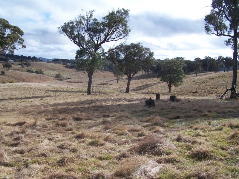 1252 Kangaloolah Road, Binda NSW 2583