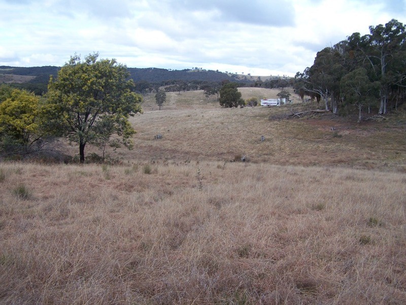 1252 Kangaloolah Road, Binda NSW 2583