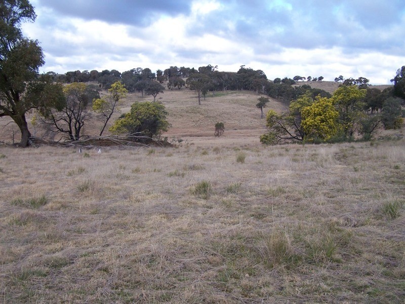 1252 Kangaloolah Road, Binda NSW 2583