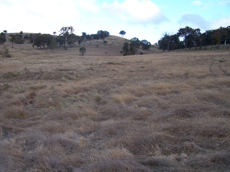 1252 Kangaloolah Road, Binda NSW 2583