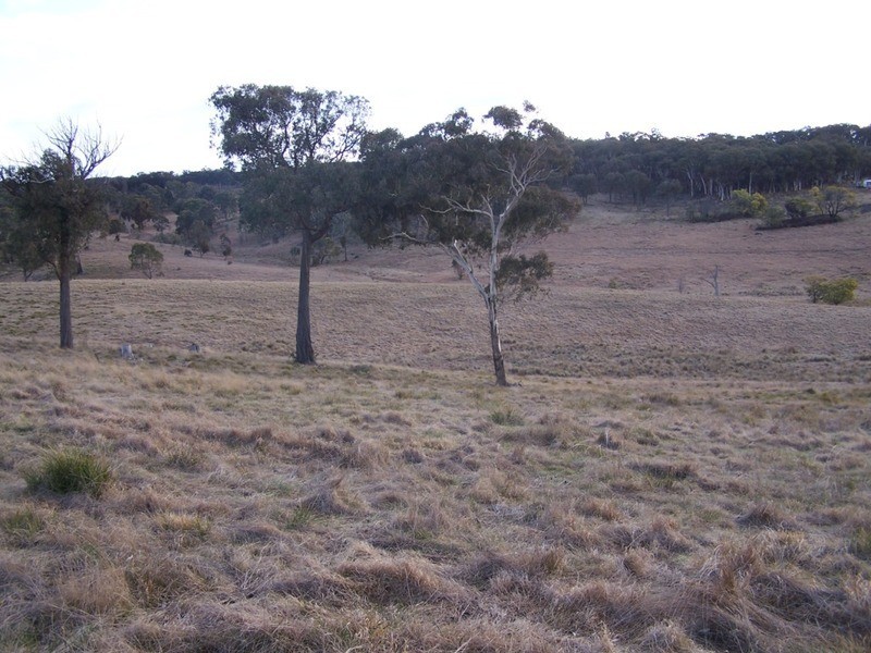 1252 Kangaloolah Road, Binda NSW 2583