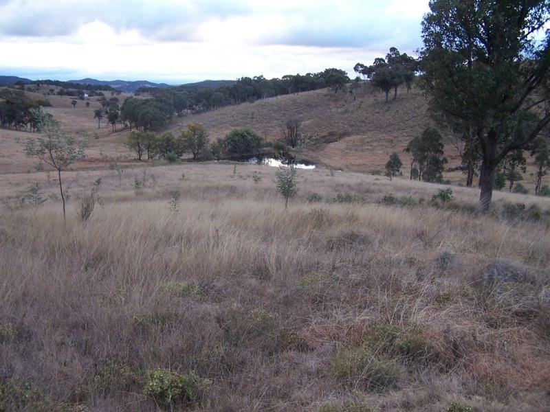 1252 Kangaloolah Road, Binda NSW 2583