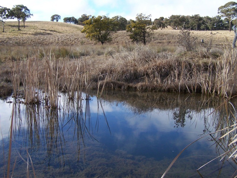 1252 Kangaloolah Road, Binda NSW 2583