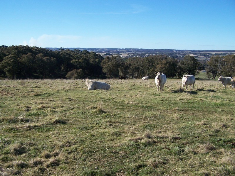 “Grand View” Lot 2 Grabben Gullen Road, Crookwell NSW 2583