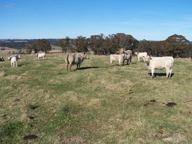 “Grand View” Lot 2 Grabben Gullen Road, Crookwell NSW 2583