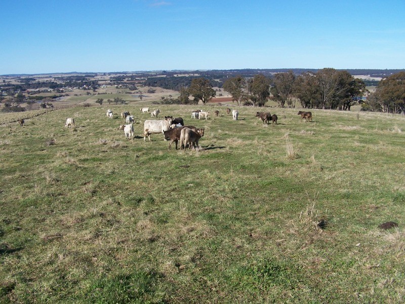 “Grand View” Lot 2 Grabben Gullen Road, Crookwell NSW 2583