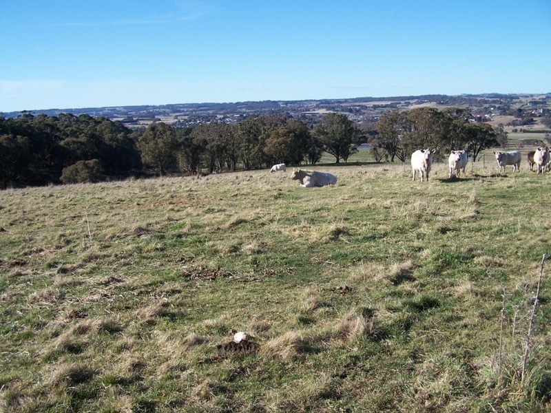 “Grand View” Lot 2 Grabben Gullen Road, Crookwell NSW 2583