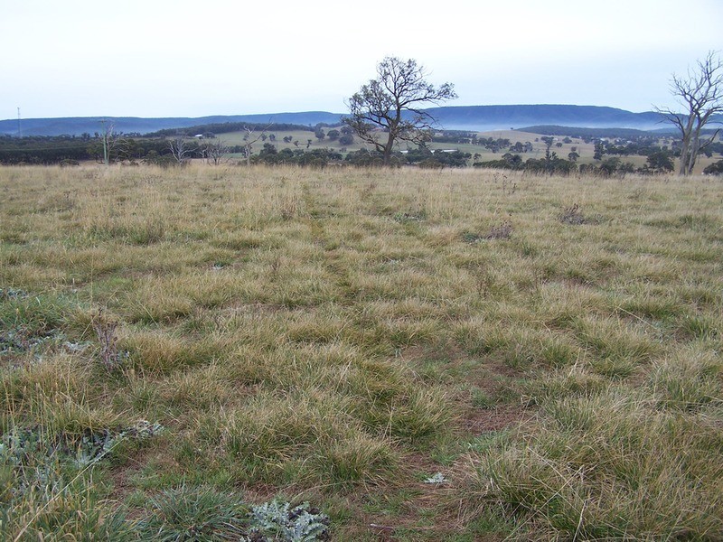 64 Curlewin Lane, Goulburn NSW 2580