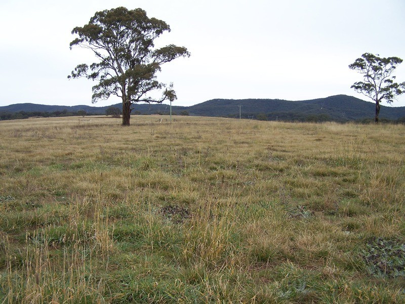 64 Curlewin Lane, Goulburn NSW 2580