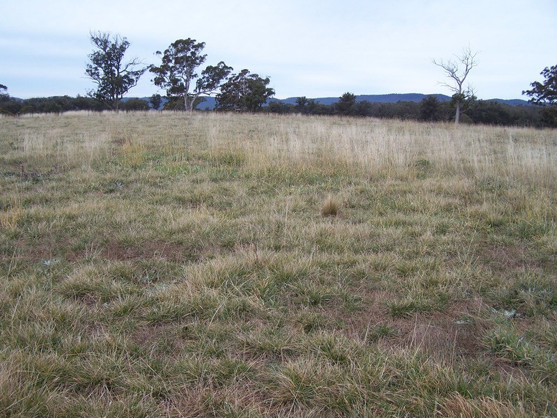 64 Curlewin Lane, Goulburn NSW 2580