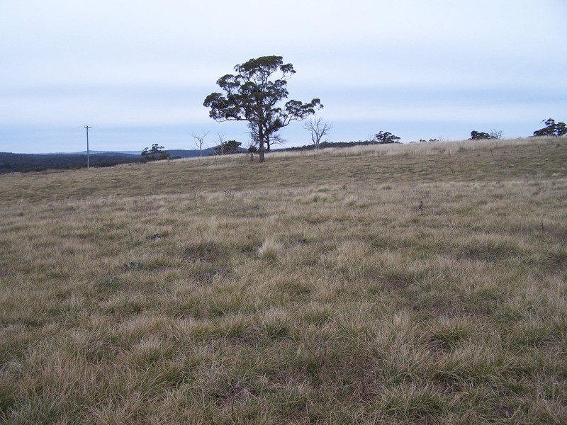 64 Curlewin Lane, Goulburn NSW 2580