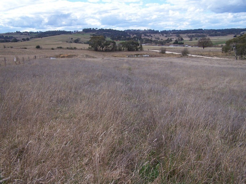 109 Iron Mine Road, Crookwell NSW 2583