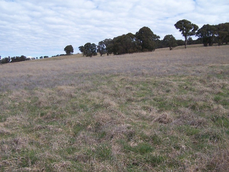 109 Iron Mine Road, Crookwell NSW 2583