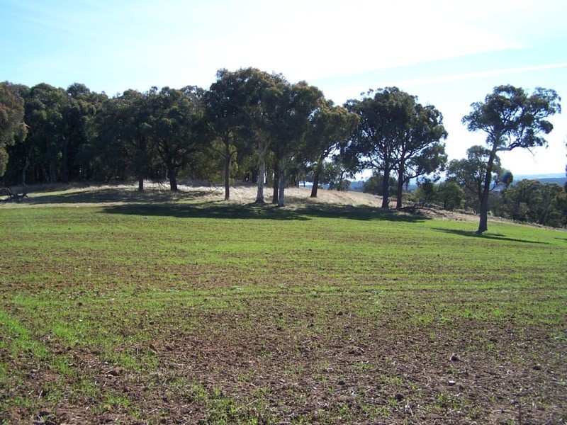 Lot 5 Lost River  Road, Wheeo NSW 2583