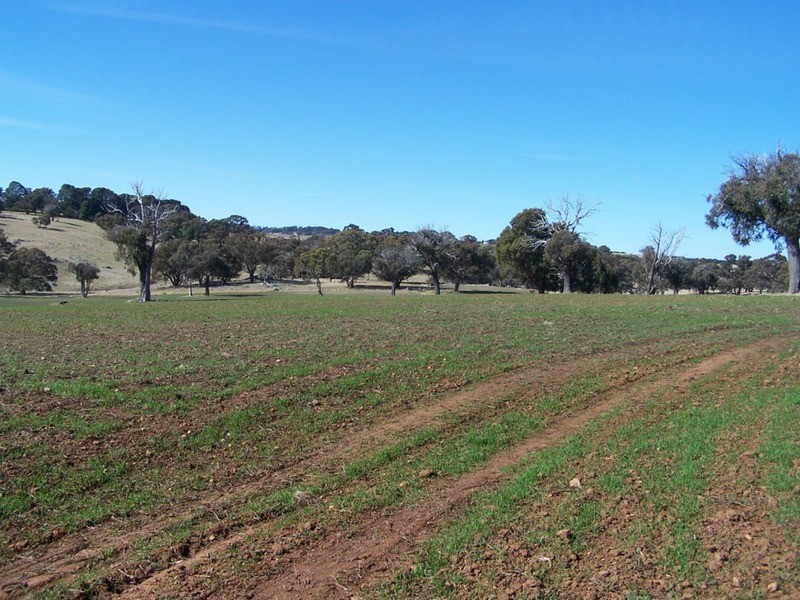 Lot 5 Lost River  Road, Wheeo NSW 2583