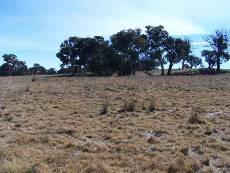 Lot 5 Lost River  Road, Wheeo NSW 2583