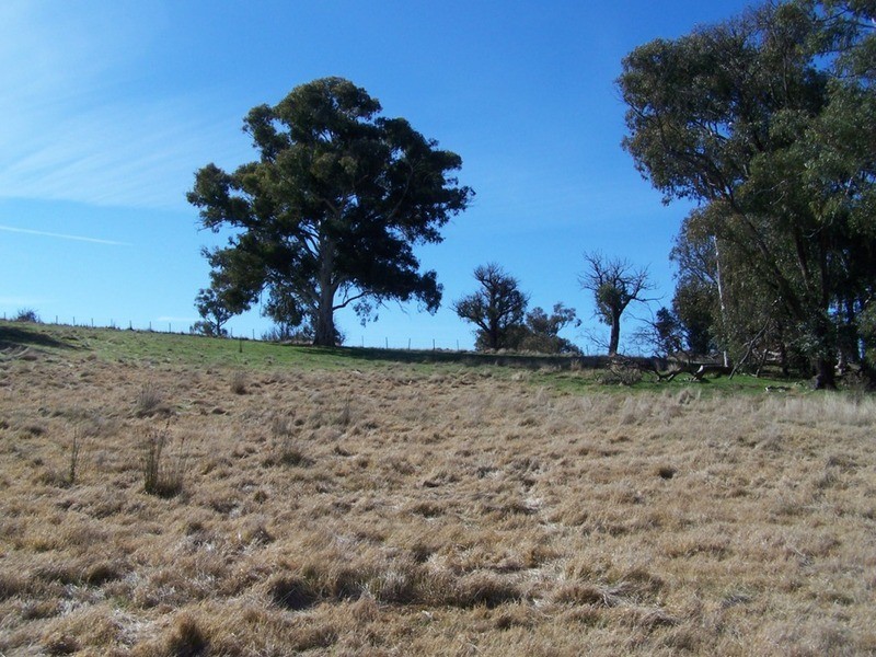 Lot 5 Lost River  Road, Wheeo NSW 2583
