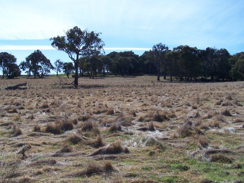 Lot 5 Lost River  Road, Wheeo NSW 2583