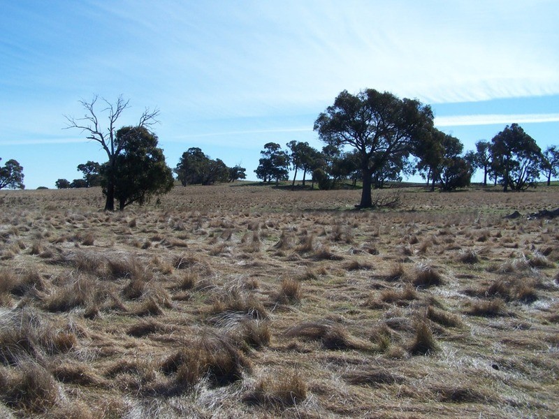 Lot 5 Lost River  Road, Wheeo NSW 2583