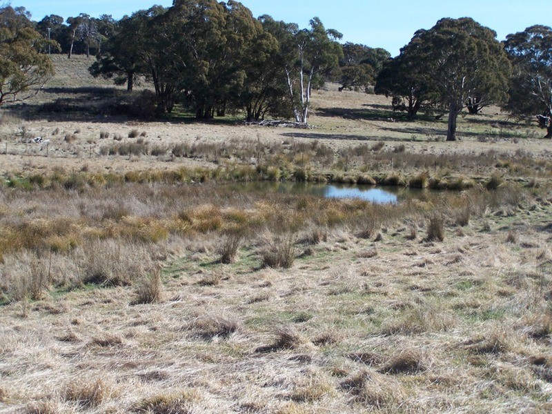 Lot 5 Lost River  Road, Wheeo NSW 2583