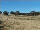 Lot 5 Lost River  Road, Wheeo NSW 2583