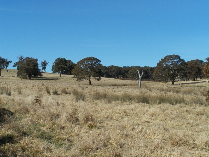Lot 5 Lost River  Road, Wheeo NSW 2583
