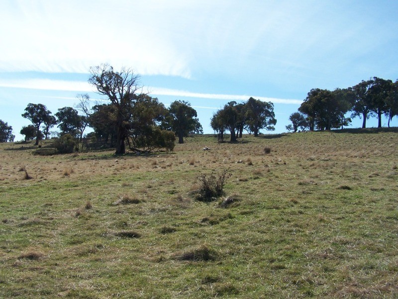 Lot 5 Lost River  Road, Wheeo NSW 2583