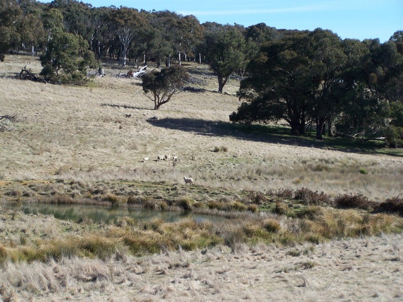 Lot 5 Lost River  Road, Wheeo NSW 2583