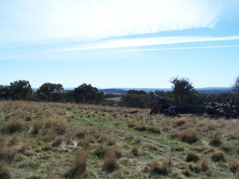 Lot 5 Lost River  Road, Wheeo NSW 2583