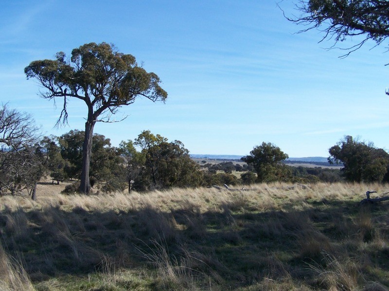 Lot 5 Lost River  Road, Wheeo NSW 2583
