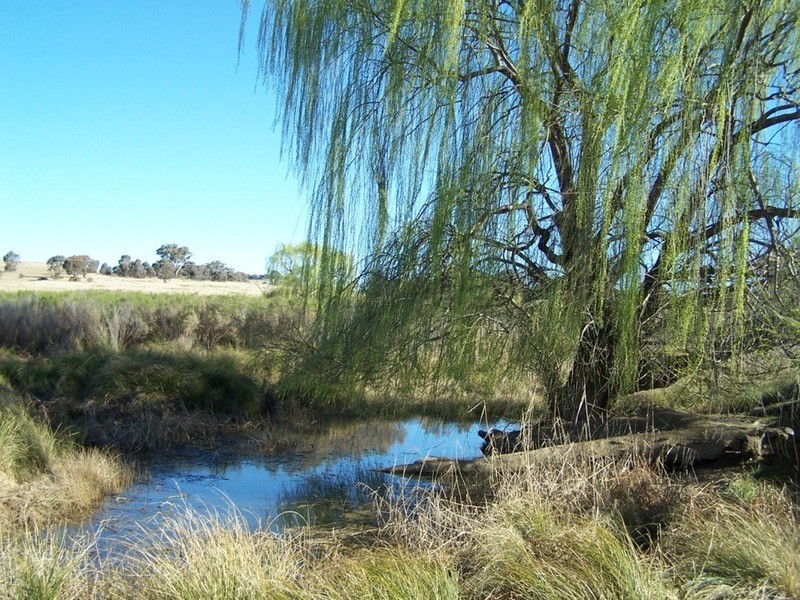 Lot 4 “Midgee Park” Rugby  Road, Dalton NSW 2581