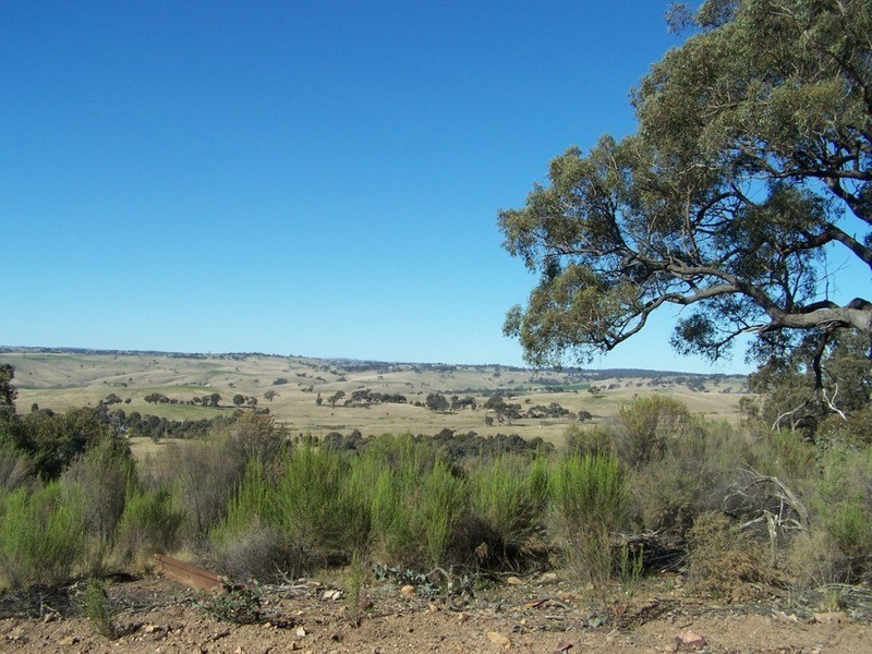 Lot 4 “Midgee Park” Rugby  Road, Dalton NSW 2581
