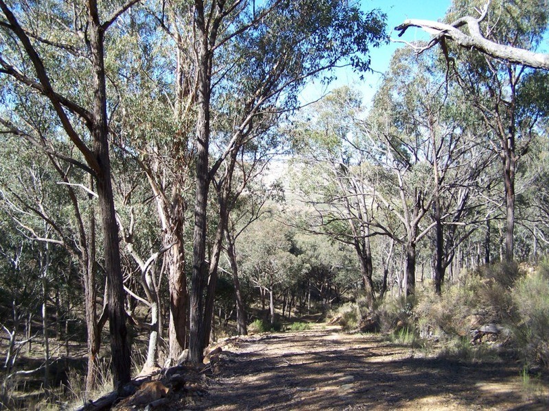 Lot 4 “Midgee Park” Rugby  Road, Dalton NSW 2581