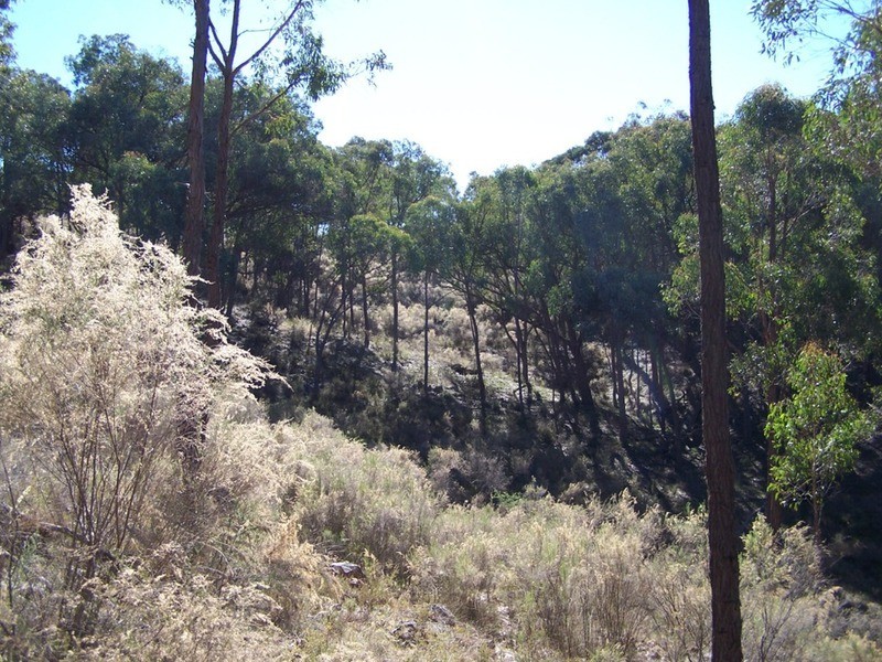 Lot 4 “Midgee Park” Rugby  Road, Dalton NSW 2581