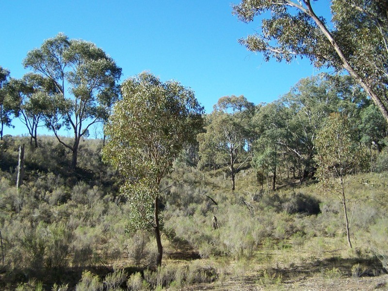 Lot 4 “Midgee Park” Rugby  Road, Dalton NSW 2581