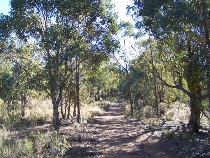 Lot 4 “Midgee Park” Rugby  Road, Dalton NSW 2581