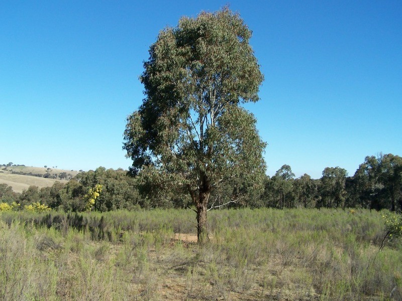 Lot 4 “Midgee Park” Rugby  Road, Dalton NSW 2581