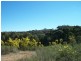 Lot 4 “Midgee Park” Rugby  Road, Dalton NSW 2581