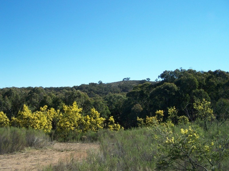 Lot 4 “Midgee Park” Rugby  Road, Dalton NSW 2581